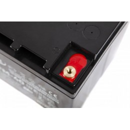 Тяговый аккумулятор RuTrike 6-GFM-40 (12V43A/H C20)