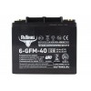 Тяговый аккумулятор RuTrike 6-GFM-40 (12V43A/H C20)