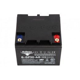 Тяговый аккумулятор RuTrike 6-GFM-40 (12V43A/H C20)