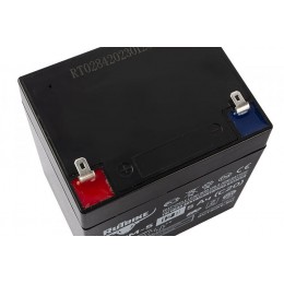 Тяговый аккумулятор RuTrike 6-GFM-5 (12V5A/H C20)