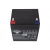 Тяговый аккумулятор RuTrike 6-GFM-5 (12V5A/H C20)
