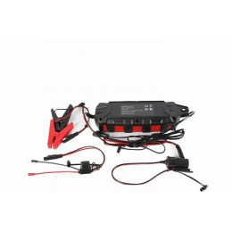 Зарядное устройство для AGM, GEL, LiFePo4 тяговых аккумуляторов с десульфатором 6-12V4-200AН