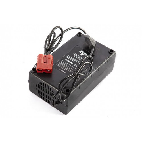Зарядное устройство интеллектуальное для LiFePo4 аккумуляторов 24V40AH (6А)