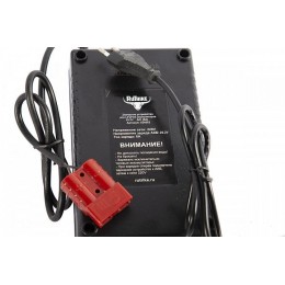 Зарядное устройство интеллектуальное для LiFePo4 аккумуляторов 24V40AH (6А)