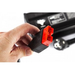 Зарядное устройство интеллектуальное для LiFePo4 аккумуляторов 24V50AH (20А)